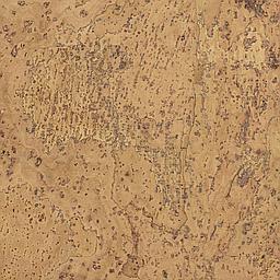 Pastis - Corcho - Barriga