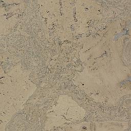 Calm Grey - Cork - Cleopatra Negra