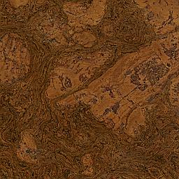 Pecan - Cork - Cleopatra Negra