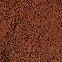 Red Maple - Corcho - Barriga