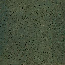 Forest Green - Liège - Baltico