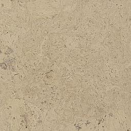 Driftwood - Cork - Cleopatra