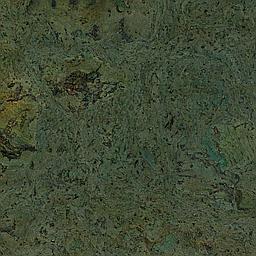 Forest Green - Cork - Cleopatra