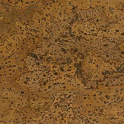 Bronze - Corcho - Barriga