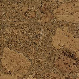 Sherry - Cork - Cleopatra Negra