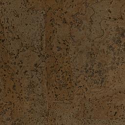 Truffle - Corcho - Barriga