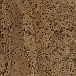 Taupe - Corcho - Barriga