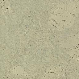 Sage - Cork - Cleopatra Negra