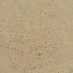 Cinnamon - Corcho - Barriga