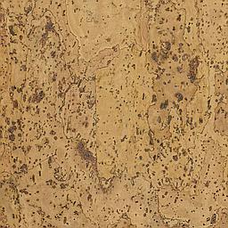 Soft White - Corcho - Barriga