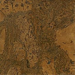 Walnut - Cork - Cleopatra Negra