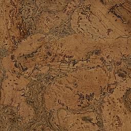 Auburn - Cork - Cleopatra Negra