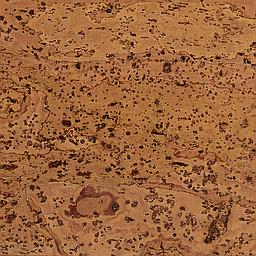 Bahamas Yellow - Corcho - Barriga