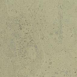 Sage - Corcho - Barriga