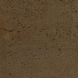 Truffle - Liège - Baltico